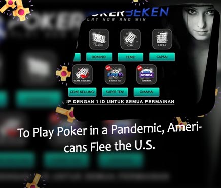 Metro tv poker online