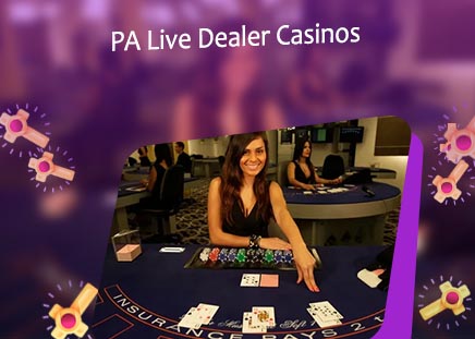 Real live dealer casino